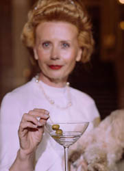 Richesse et inégalité illustration du luxe
